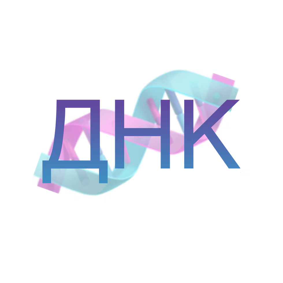 IMG_9359.PNG
